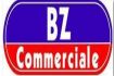 BZ Commerciale