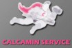 Calcamin Service