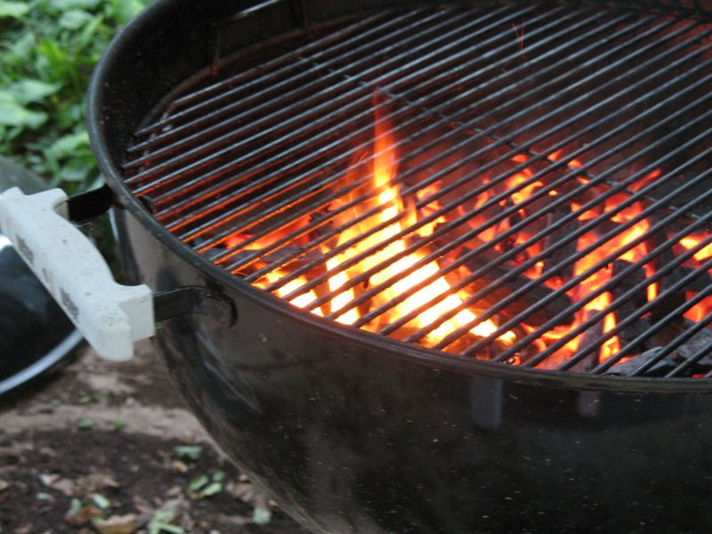 Barbecue a carbonella