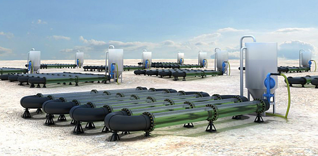 Stabilimento di produzione di biodiesel con microalghe Stabilimento di produzione di biodiesel con microalghe