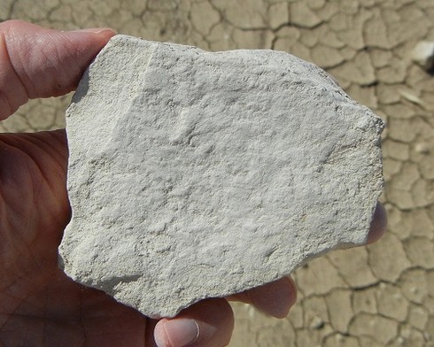 La diaomite potrebbe pulire i biofuel La diaomite potrebbe pulire i biofuel