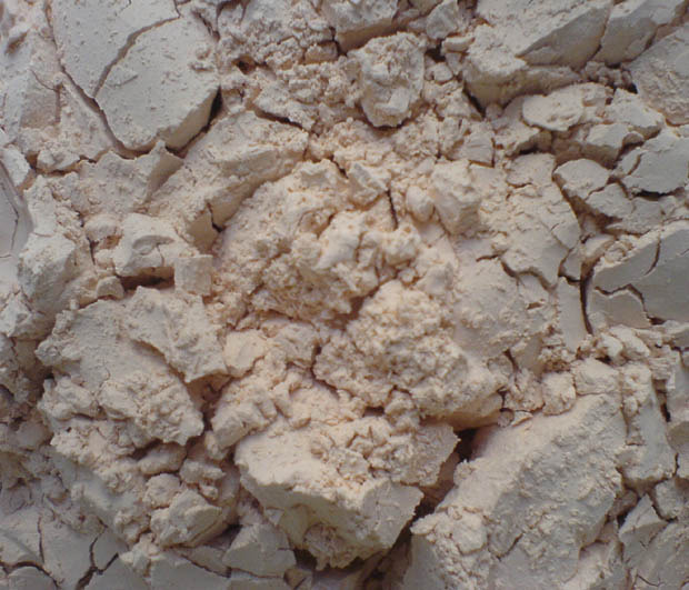 Farina Fossile Farina Fossile