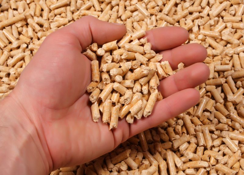 Pellet Pellet