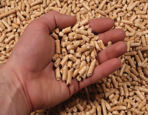 pellet pellet